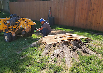 Kansas City Tree Services Gilbert’s Stump Grinding & Landscaping