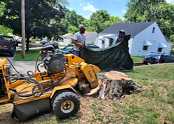 Gilbert’s Stump Grinding & Landscaping Kansas City Tree Services image 1