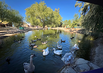 Gilcrease Nature Sanctuary - Las Vegas, NV Places To See - Entertainment Image