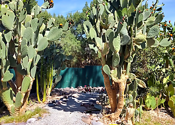 Gilcrease Nature Sanctuary - Las Vegas, NV Places To See - Destination Image