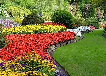 Lakeland Landscaping Companies Gilileo's Landscaping Service