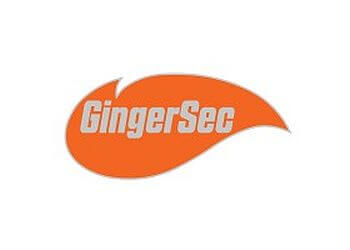 GingerSec Peoria It Services