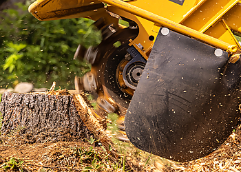 Elizabeth Tree Services Giron's Tree Service LLC