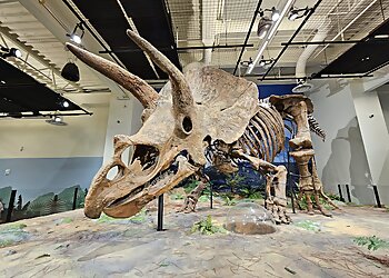 Tampa Landmarks Glazer Children’s Museum