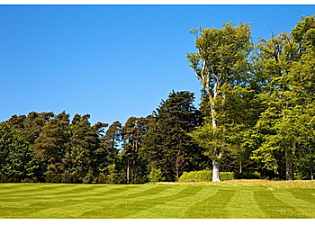 Glendale Lawn Care Services Glendale Lawn Pros