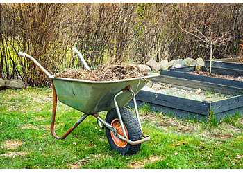 Glendale Lawn Care Services Glendale Lawn Pros