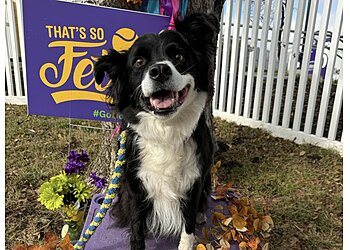 Omaha Dog Training Go Dogs