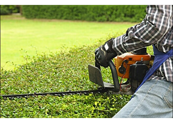 3 Best Lawn Care Services In San Francisco Ca Expert Recommendations