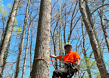 Winston Salem Tree Services Godspeed Tree Service Inc.