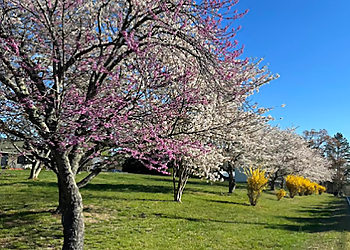Winston Salem Tree Services Godspeed Tree Service Inc.