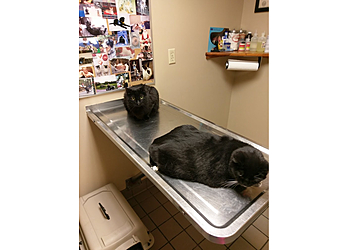 Manchester Veterinary Clinics Goffstown Animal Hospital