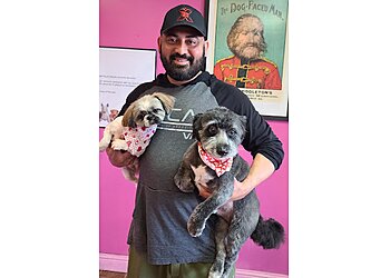 Bakersfield Pet Grooming Going Mutts Pet Grooming