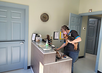 Goin to the Dogs and Cats Mobile Grooming and Pet Spa Huntsville Pet Grooming image 1