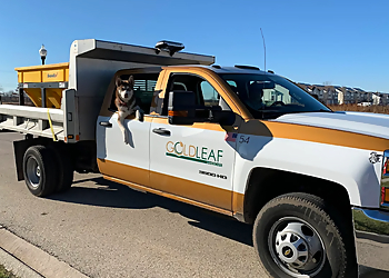 Aurora Landscaping Companies GoldLeaf Landscape