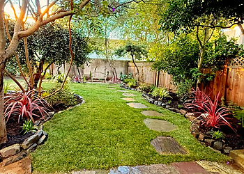 Golden&Co Landscapes - San Francisco, CA Lawn Care Services - Project Image