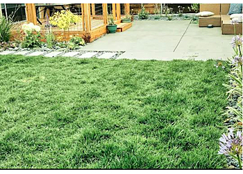 Golden&Co Landscapes - San Francisco, CA Lawn Care Services - Job Site Image