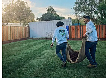 Golden&Co Landscapes - San Francisco, CA Lawn Care Services - Team Working Image