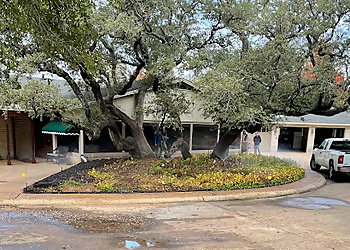 Waco Tree Services Gomez Tree Solutions