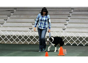 Good Dog Training El Paso Dog Training