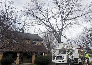 Good Earth Tree Care LLC - Grand Rapids, MI Tree Services - Team Working Image
