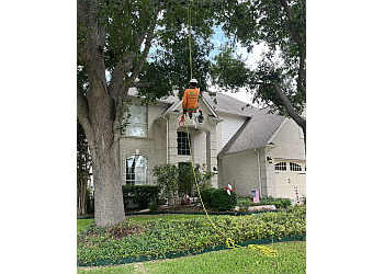 Austin Tree Services Good Guys Tree Service