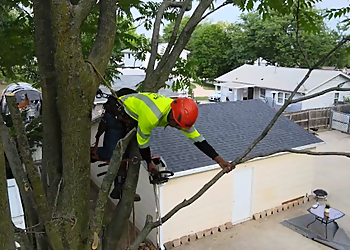 Good Guys Tree Service - Des Moines, IA Tree Services