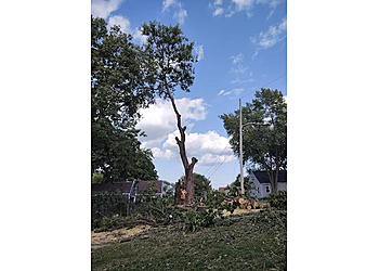 Good Guys Tree Service Good Guys Tree Service - Des Moines, IA Tree Services