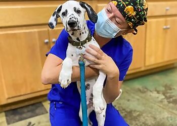 Athens Veterinary Clinics Good Hands Veterinary Hospital