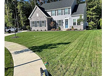 Cleveland Lawn Care Services Good Nature Organic Lawn Care
