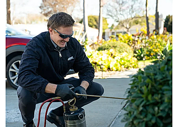 Good Pest Management Good Pest Management - Torrance, CA Pest Control Companies