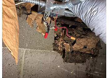 Aurora Home Inspections Good Protection Home Inspection