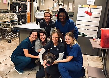 Montgomery Veterinary Clinics Goodwin Animal Hospital