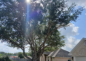 Brownsville Tree Services Gordillo Tree Service LLC