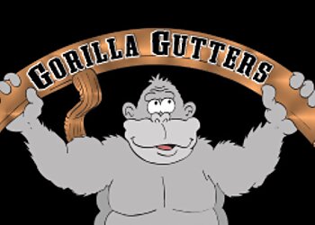 Oakland Gutter Cleaners Gorilla Gutters,Inc.