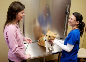 Cincinnati Veterinary Clinics Grady Veterinary Hospital