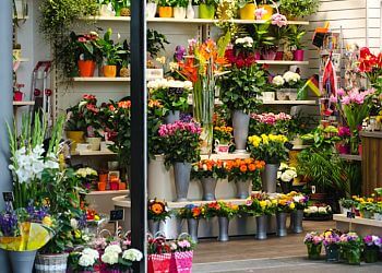 Waterbury Florists Graham's Florist, LLC