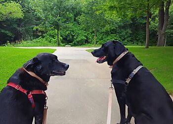 Grand Paws Pet Sitter Dallas Dog Walkers image 1