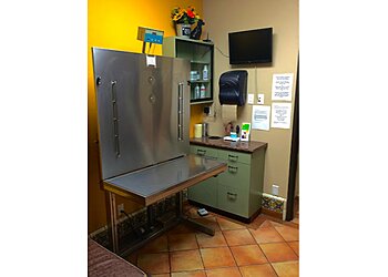 Santa Ana Veterinary Clinics Grand Pet Care Center