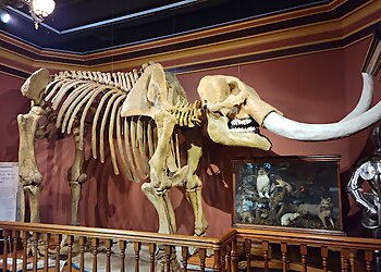 Grand Rapids Landmarks Grand Rapids Public Museum