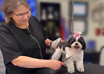 Grande Style Dog Grooming Tampa Pet Grooming image 1