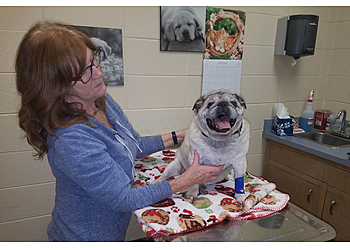 Springfield Veterinary Clinics Grant Avenue Pet Hospital