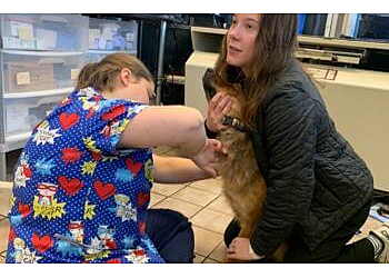 Springfield Veterinary Clinics Grant Avenue Pet Hospital