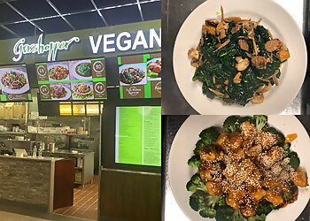 Boston Vegetarian Restaurants Grasshopper Restaurant