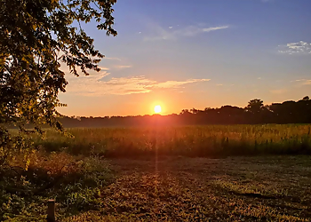 Gray Branch Parkland - McKinney, TX Hiking Trails - Scenic View Image