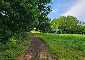 Gray Branch Parkland Gray Branch Parkland - McKinney, TX Hiking Trails - Trail Image