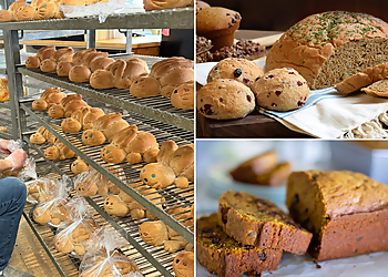 Boise City Bakeries Great Harvest Bread Co. Boise City