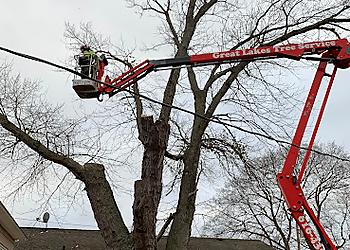 Grand Rapids Tree Services Great Lakes Tree Service, LLC