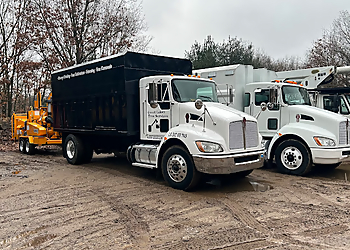 Great Lakes Tree Service, LLC Grand Rapids Tree Services image 1
