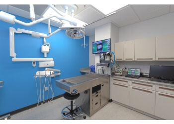 San Antonio Veterinary Clinics Great Northwest Animal Hospital