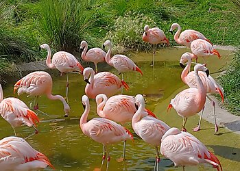 Sioux Falls Places To See Great Plains Zoo